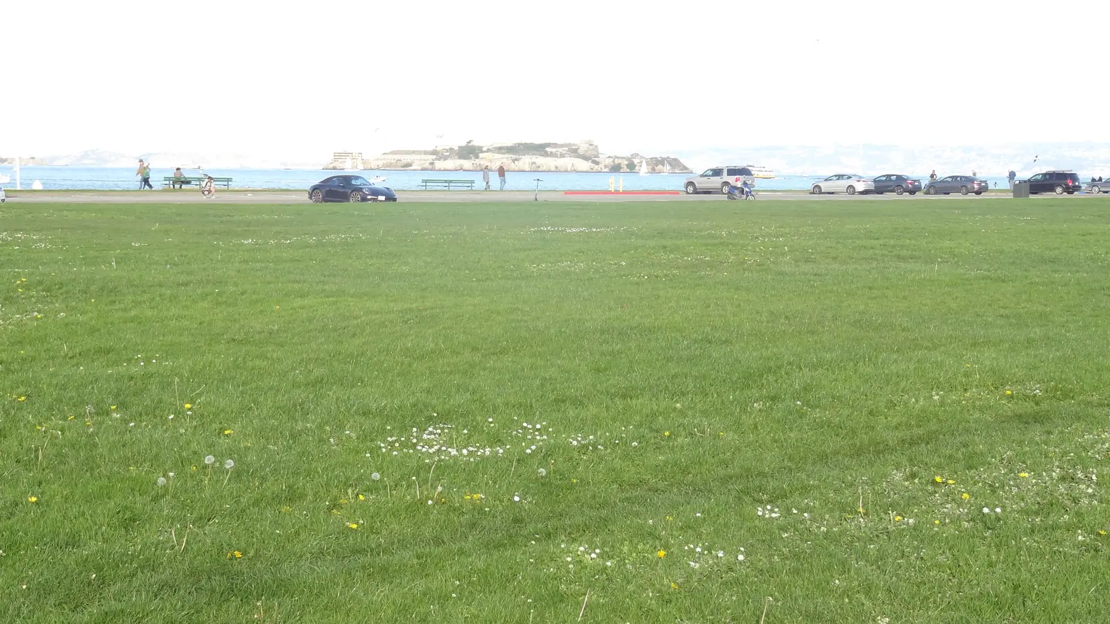 Open green lawn at Marina Green beside the San Francisco Bay
